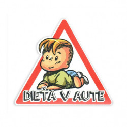 Magnet copil în mașină băiat