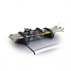 Port ski Aconcagua