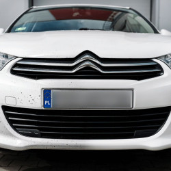 K2 PRO Nuta Anti 1L - Insect - înlăturător insecte