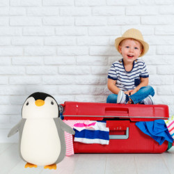 Perna de calatorie 2in1 pentru gat in masina avion pinguin mascota