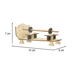 Set de experimente științifice tip fă-ți singur magnetic 4în1