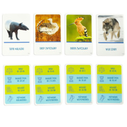 Joc educativ Pe vârf jocului pentru curioși 8+ MULTIGRA - limba poloneză