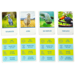 Joc educativ Pe vârf jocului pentru curioși 8+ MULTIGRA - limba poloneză