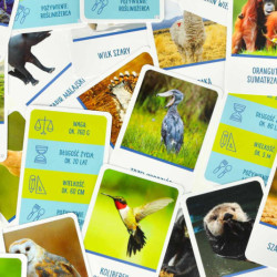 Joc educativ Pe vârf jocului pentru curioși 8+ MULTIGRA - limba poloneză