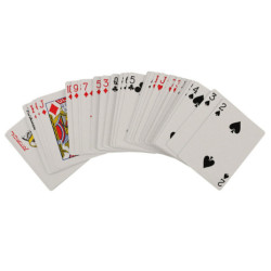 Set poker în geantă 500 de jetoane 2 pachete de cărți
