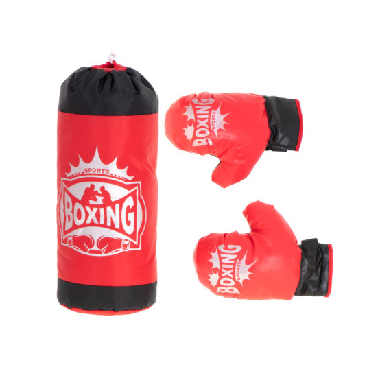 Sac de box și mănuși de box