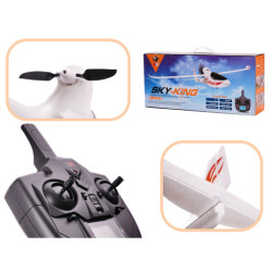 Avion RC WLtoys Sky King F959S 2,4GHz