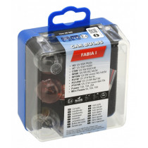 Set de service becuri auto FABIA I