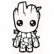 AUTOCOLANT GROOT