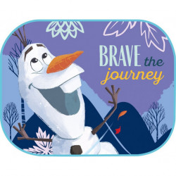 Parasolare laterale 44x35cm FROZEN 2buc
