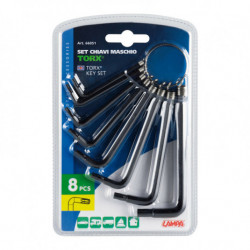 Set chei Torx