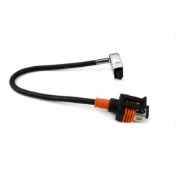 Adaptor HiD, AMiO D1