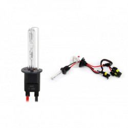 Bec xenon H1 6000K AMiO