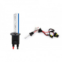 Bec xenon H1 8000K AMiO