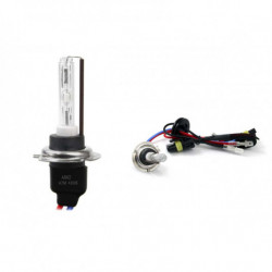 Bec xenon H7M 4300K metalic AMiO
