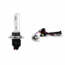 Bec xenon H7M 6000K metalic AMiO