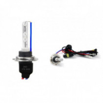 Bec xenon H7M 8000K metalic AMiO