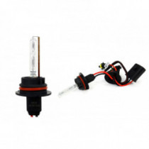 Bec xenon HB1 9004 HB5 9007 4300K AMiO