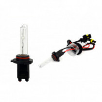 Bec xenon HB3 (9005) 6000K AMiO