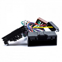 Adaptor ISO Ford