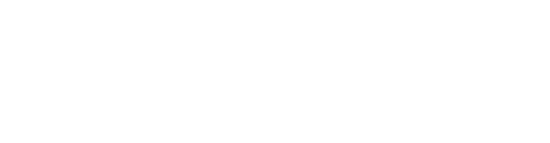 Autozulu